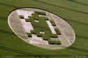 Space Invader of standing crop