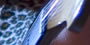 Cat Claws [click to focus]