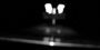 [click to focus]