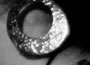 [click to focus]