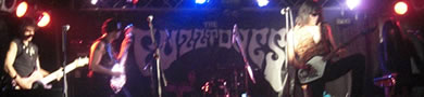 The Fuzztones