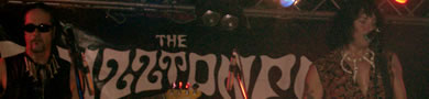 The Fuzztones