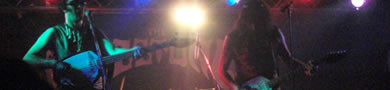 The Fuzztones