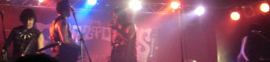 The Fuzztones